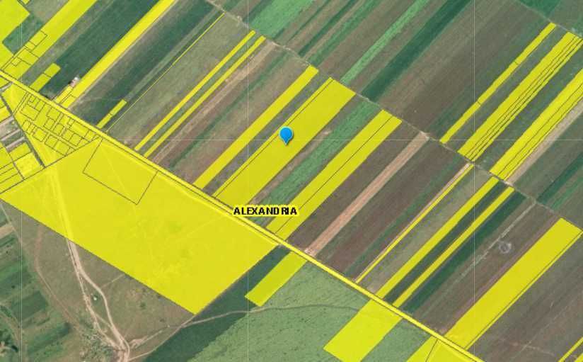Vand Teren 43.650mp - Langa Dedeman