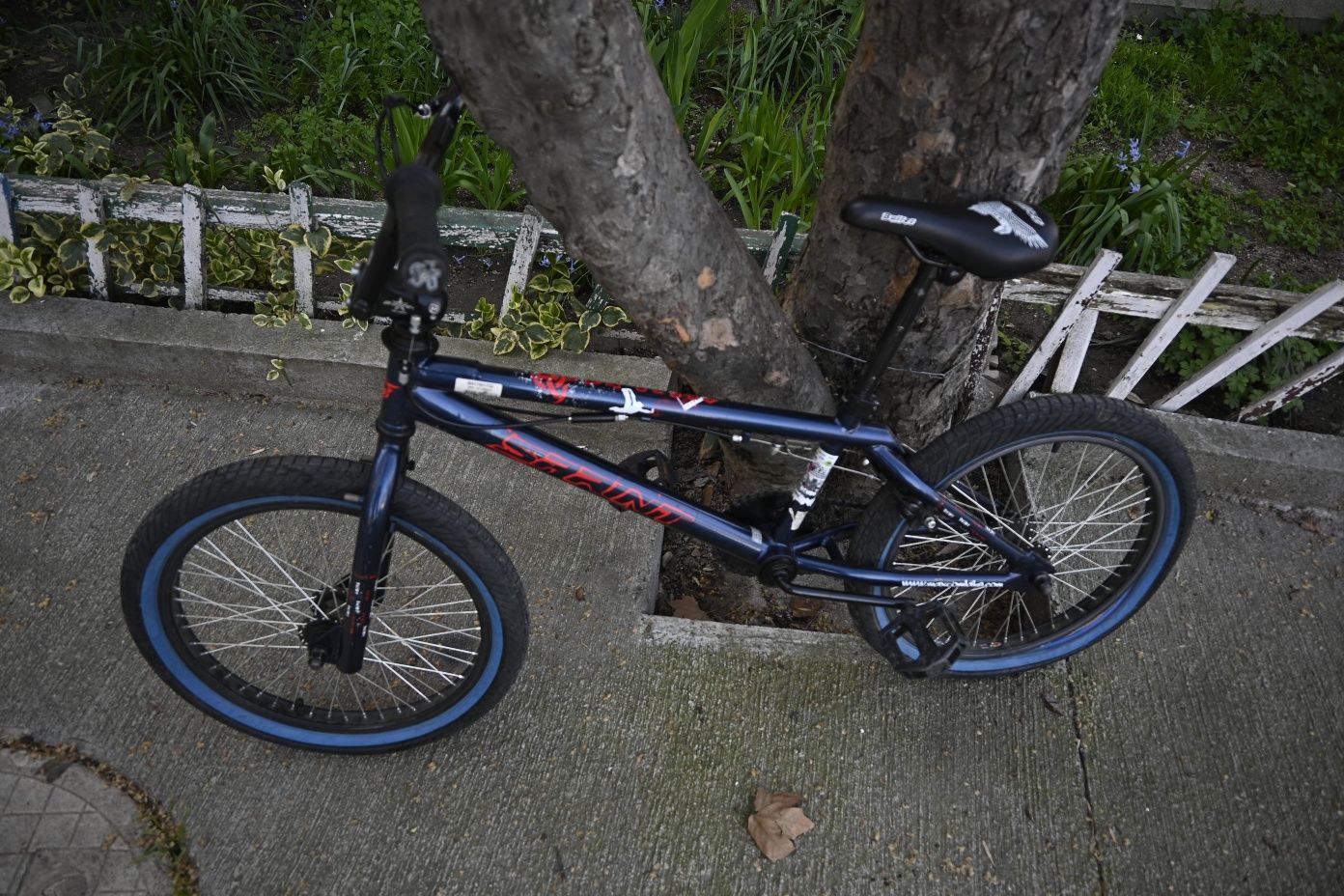 BMX BORA 20 sport