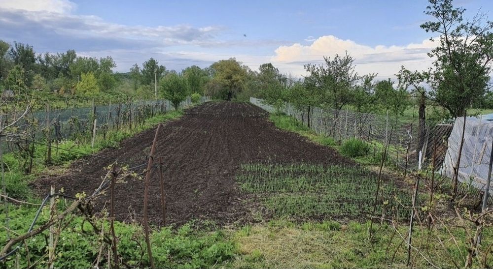 Casă de vânzare Ungheni
