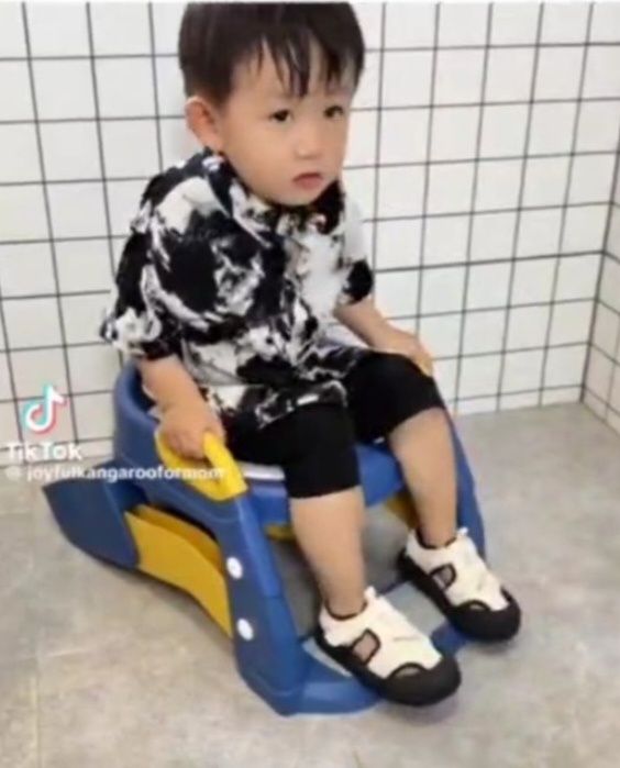 Универсальная подставка для унитаза и горшка.