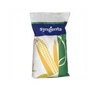 Семена кукурузы Syngenta Андромеда