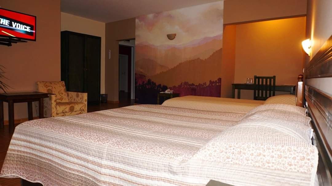 Продава се Хотел в Девин - 1736 кв.м за 1441 €/кв.м - Снимка #8