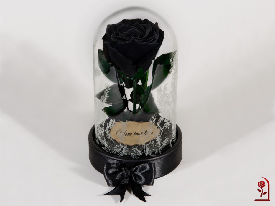 ЕСТЕСТВЕНА Вечна Черна Роза в стъкленица / Оригинален Подарък за Жена