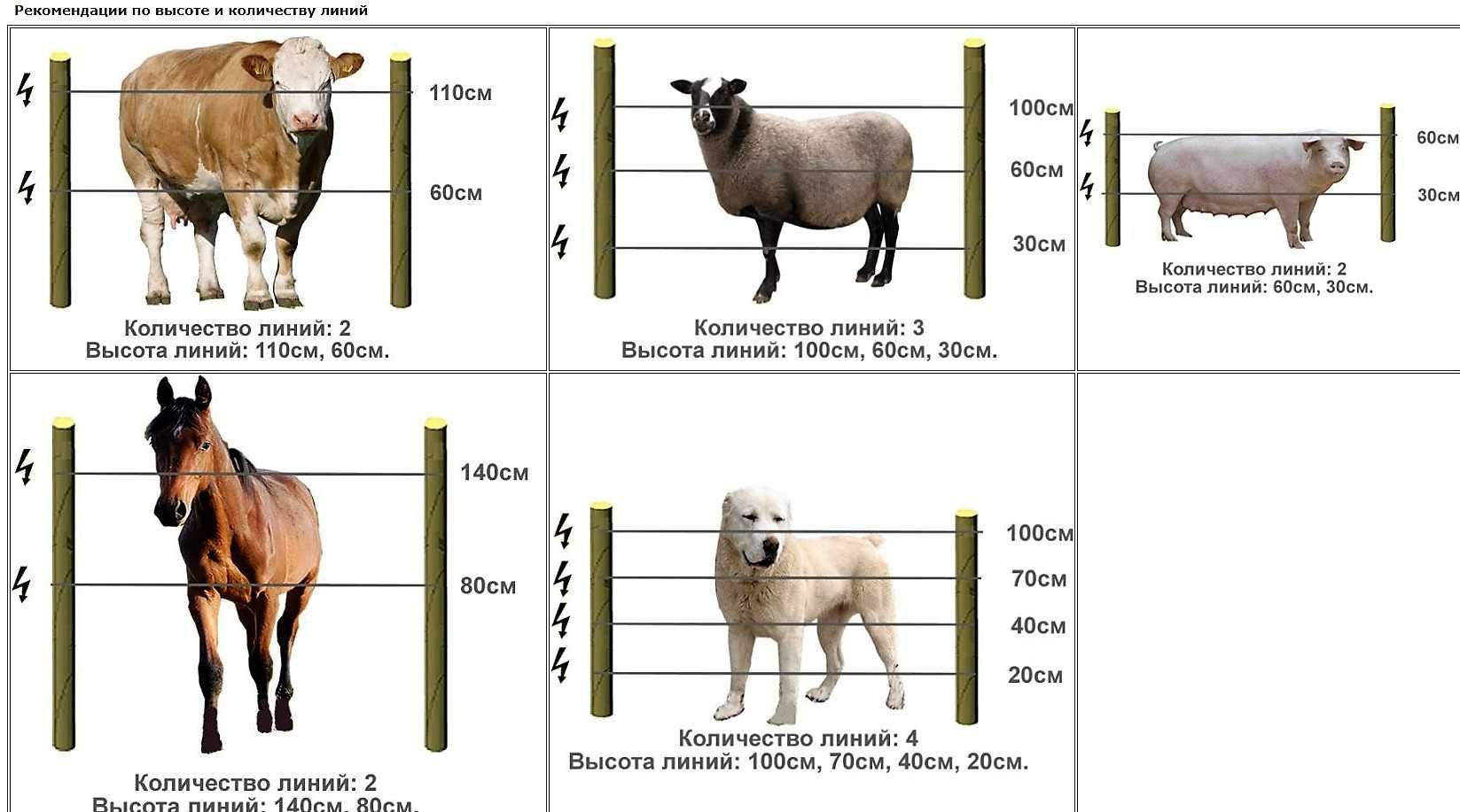 Электрическая изгородь для животных Электропастух для ограждения