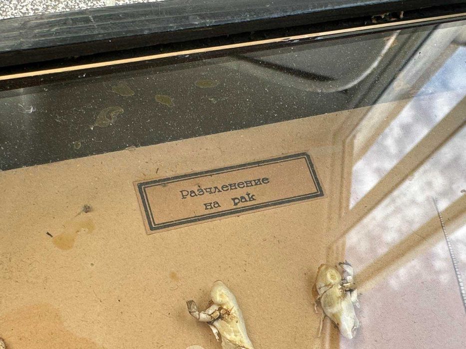 Соц Учебен Модел на Рак Разчленен Учтехпром