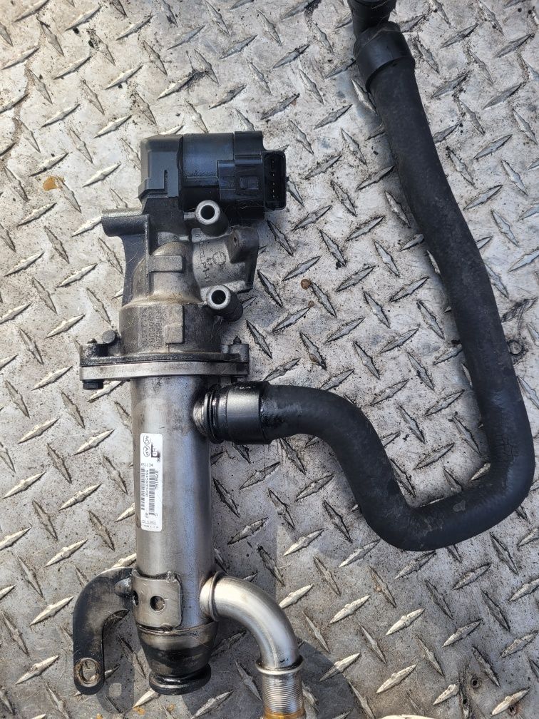 egr racitor gaze fiat scundo 2.0.hdi an 2008