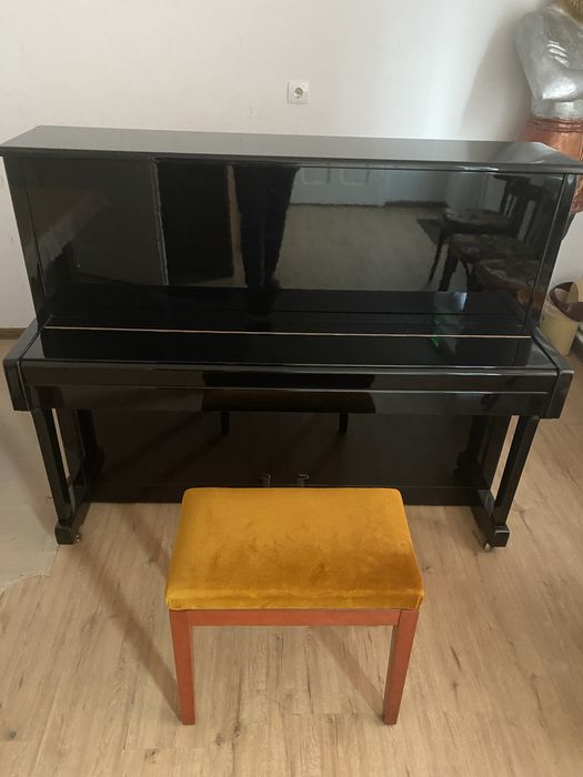 Vand / Schimb - Pian marca LIPPMANN