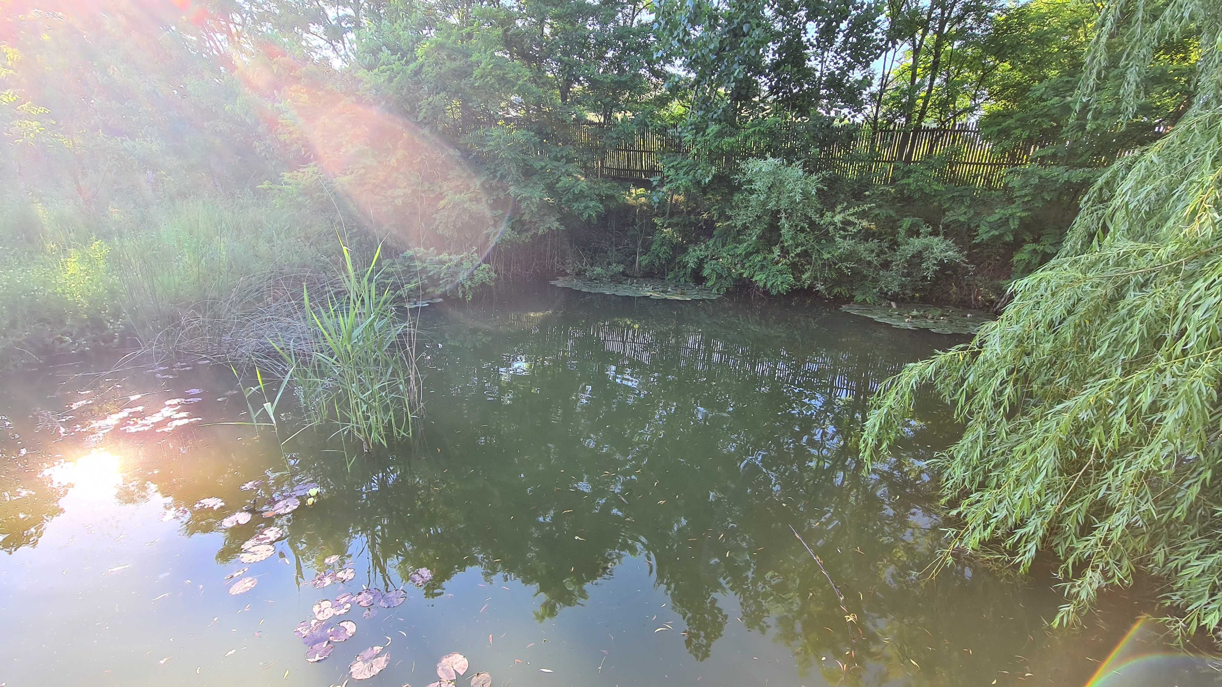 Teren intravilan,teren aninoasa,teren aninoasa judetul gorj,teren