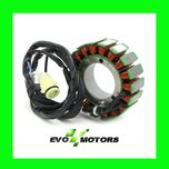 Stator KAWASAKI ZX12R Alternator Bobina 2000-2001 Generator A677