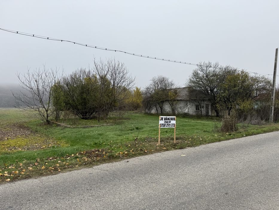 Teren 2500MP Morunglav