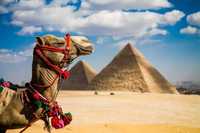 Туры в Египет! Оптимальное решение для отдыха