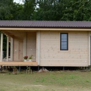 Vand construiesc case și cabane din lemn