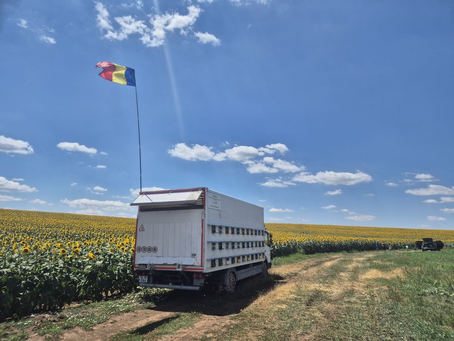 Vand camion apicol, familii albine, roiuri, cutii, stupi