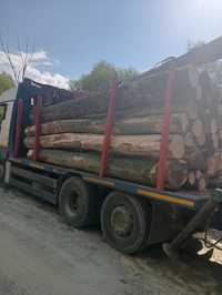 Aduc lemne la comanda în județul Timiș și Arad