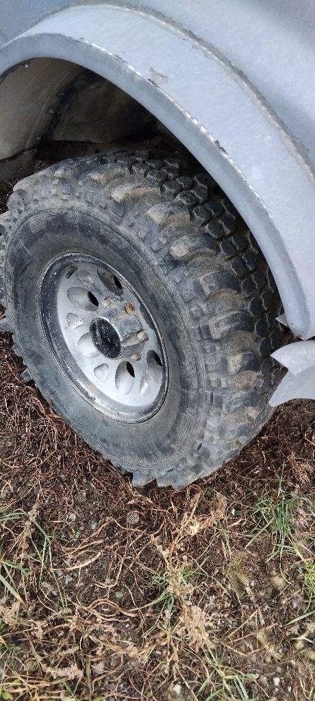 Vand proiect de buggy