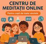 Meditatii online / fizic