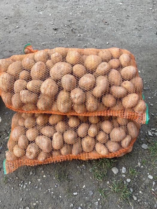 Cartofi consum Arizona