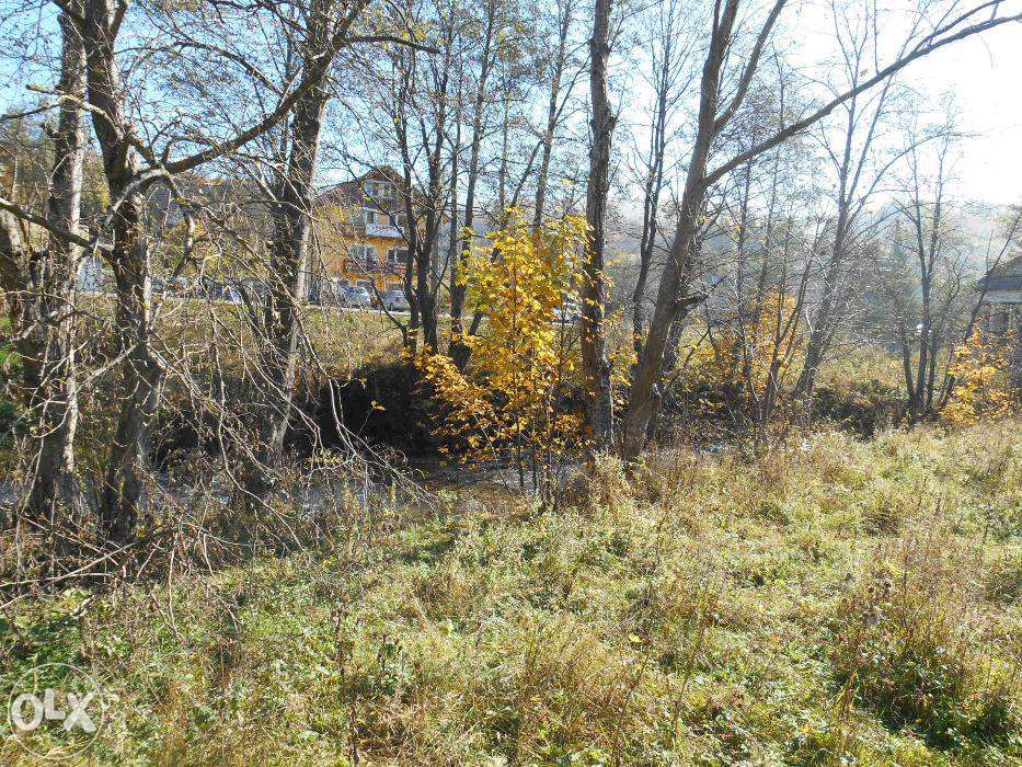 teren cheia superb -variante-schimb-asociere