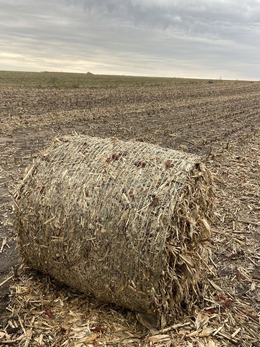 Baloti rotunzi de ciocani