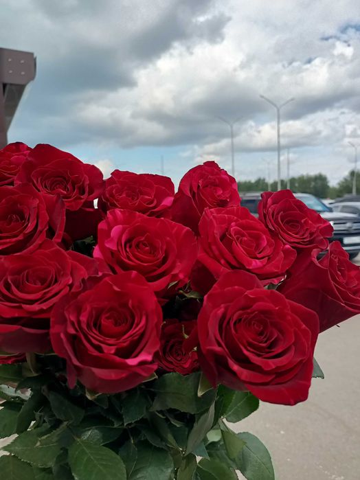 Розы цветы букеты Костанай Доставка