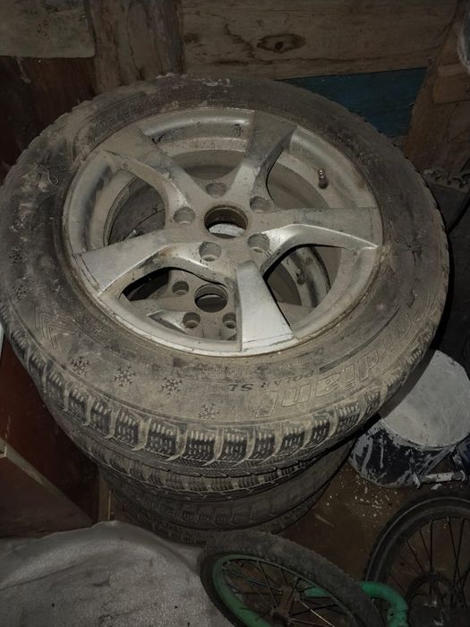 Титанка покрышкамен