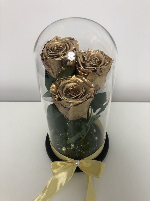Trandafiri criogenat auriu 17-20-25 cm