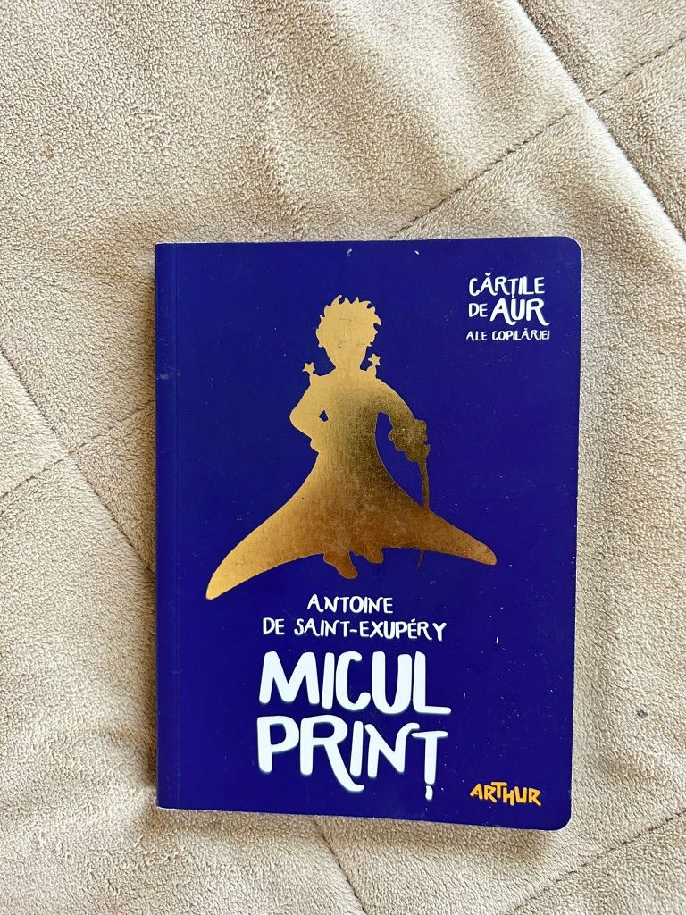 Carte Micul Print