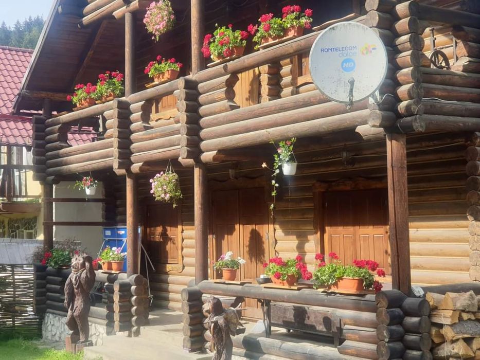 Cabană libera de revelion (3 Zile 3 Nopti)