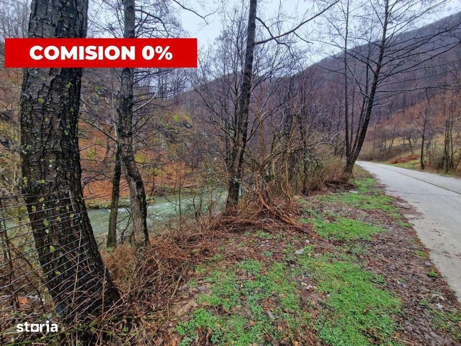 Vanzare teren in com. Pestisani, sat Gureni - zona de munte