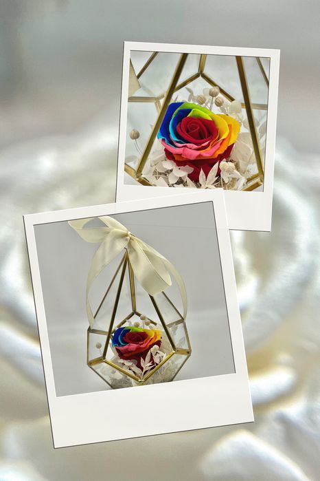 Trandafir criogenat rainbow in vitraliu