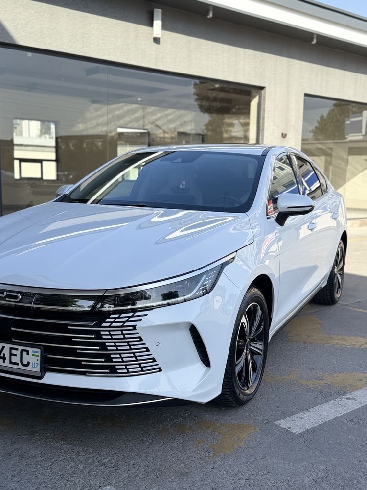 BYD CHAZOR 120LI FLESHIP 2024-salon 2023 kuzip