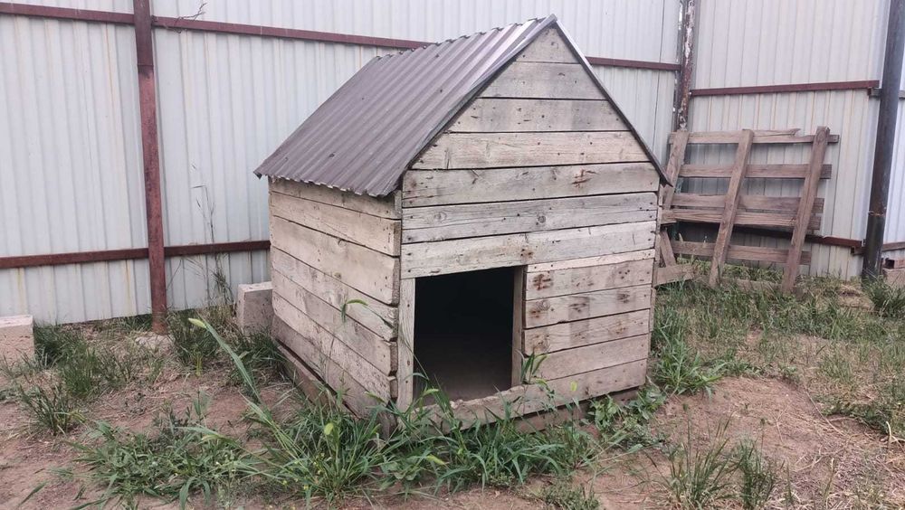 Будка для собаки