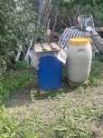 Vand prune pt tuica