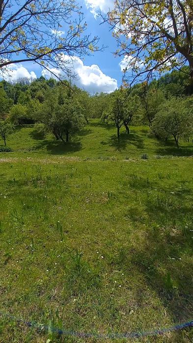 Teren intravilan 50 m latime . 5600m