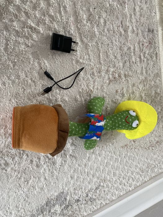 Кактус б/у в хорошем состояний