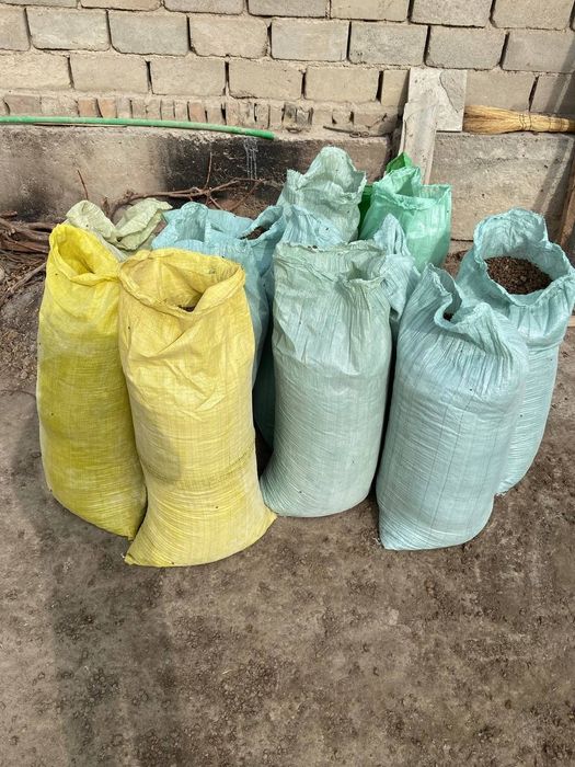 Kuygan poru sotiladi