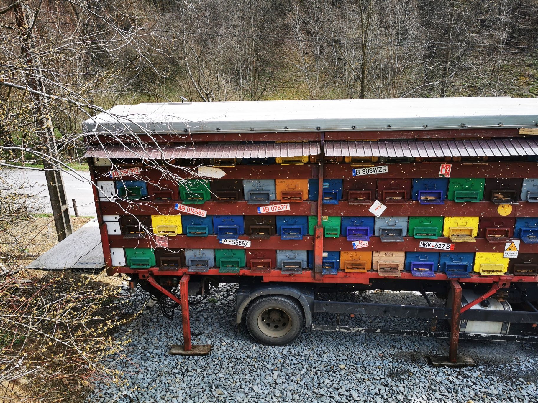 Vând MAN TGA apicol omologat BDF