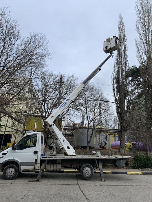 Nacela de inchiriat, Toaletări copaci, arbori,