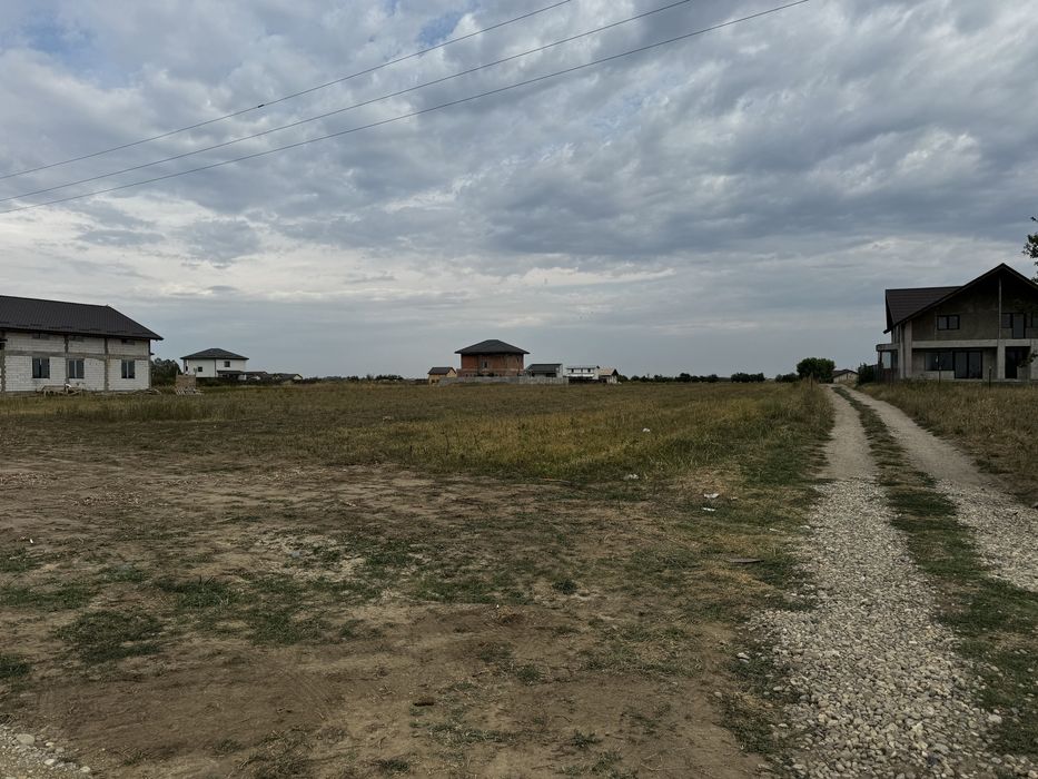 Teren Domnesti , Teghes 19.000mp desc 45m direct la drumul asfaltat !!