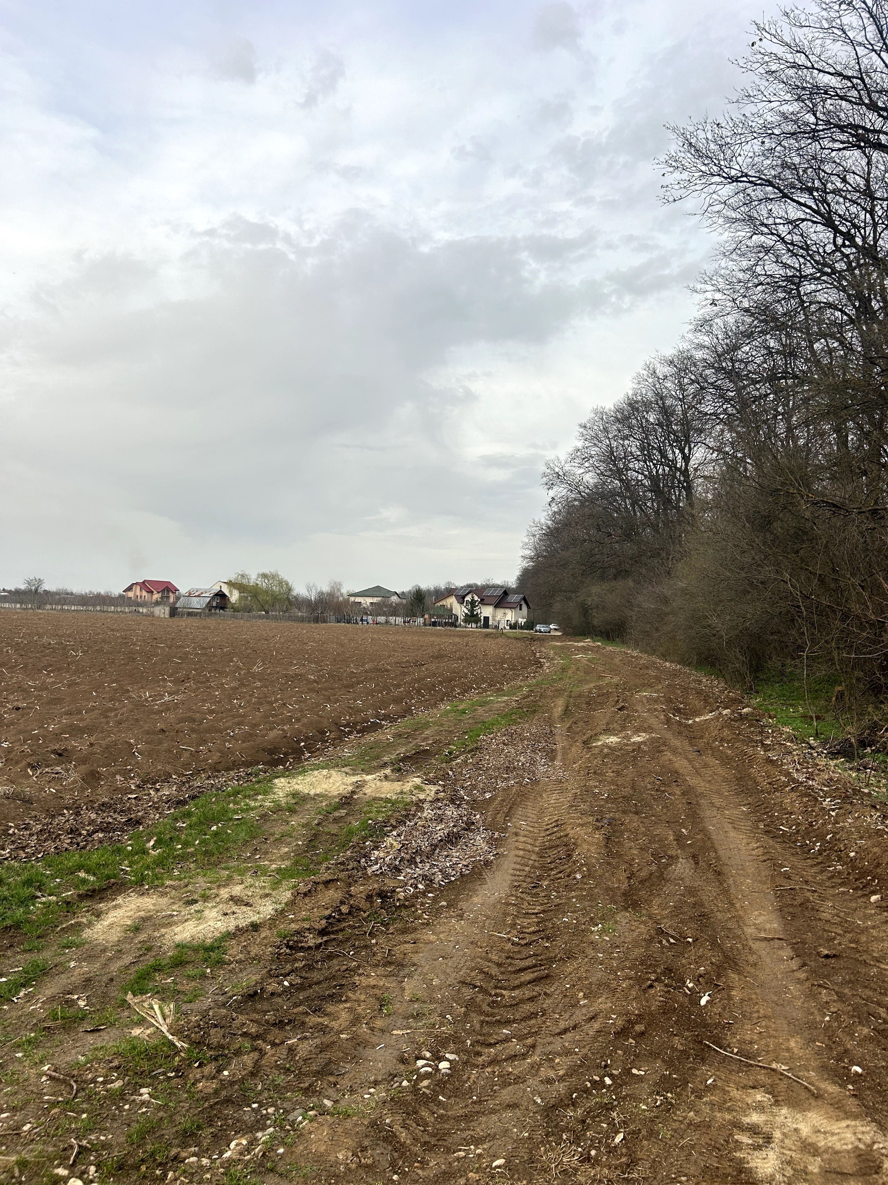 Teren Vladiceasca, langa padure 1110mp(61X18) zona Snagov.
