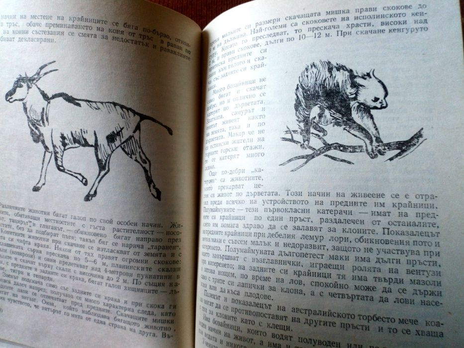 Книги за  деца  и юноши