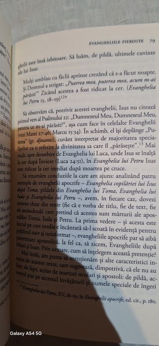 Brant Pitre - Fiul lui Dumnezeu? (Pledoarie pentru Isus)