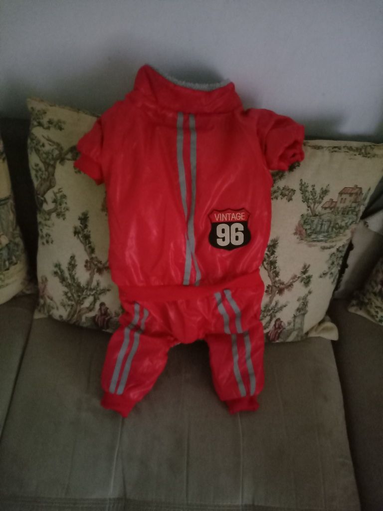 Geacă cainii XXL