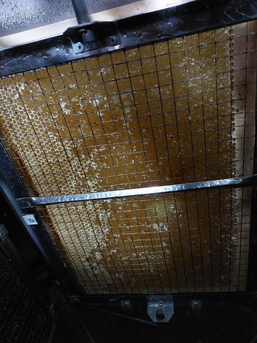 Miere de albine naturală!