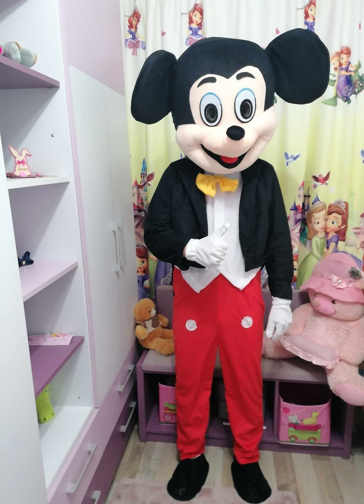 Mascote Minie și Mickey