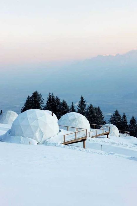 Cort special, glamp, iglu