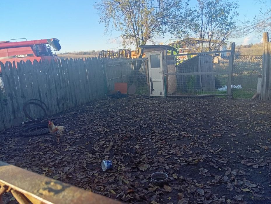 Casa de vanzare Goiesti