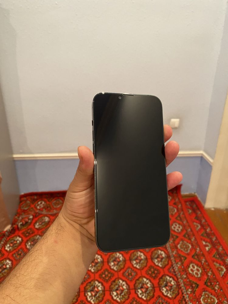 iphone 13 pro max 256gb