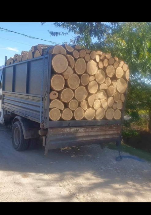 Vand lemn sanatos si bun