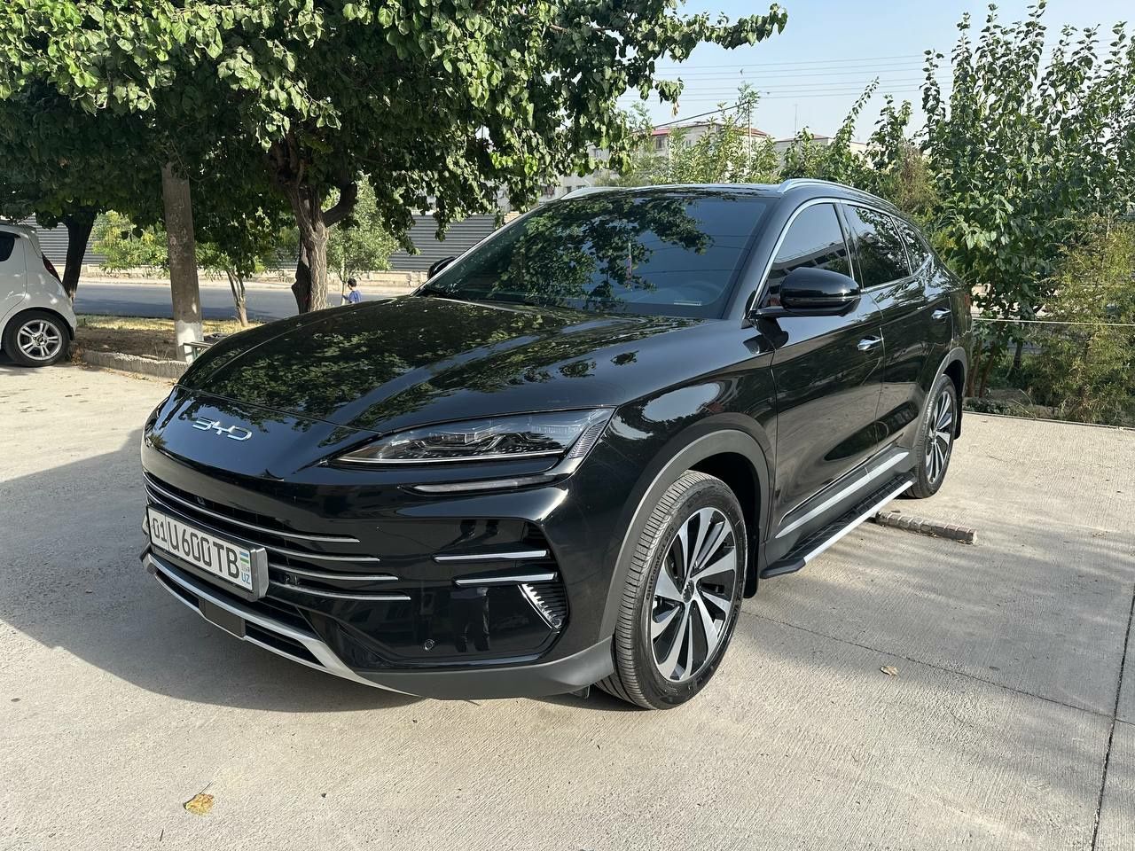 Byd champion gybrit